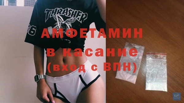 шишки Покачи