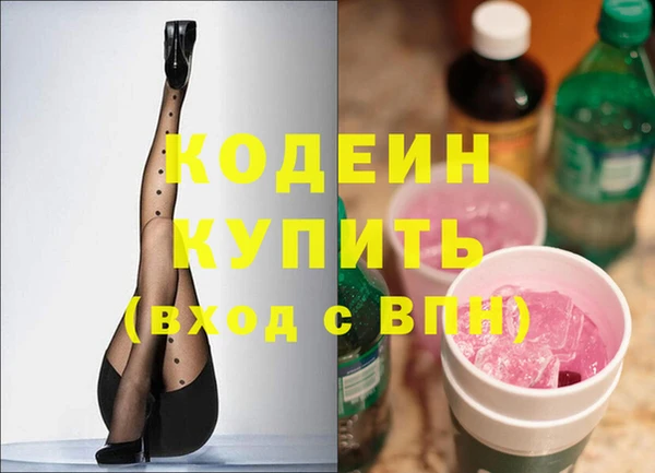 шишки Покачи
