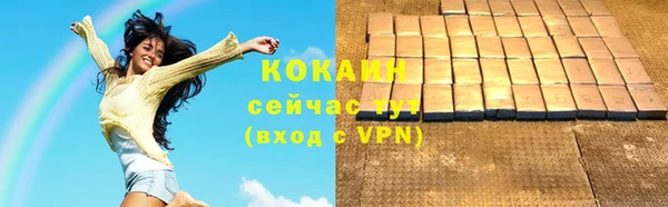 хмурый Покров