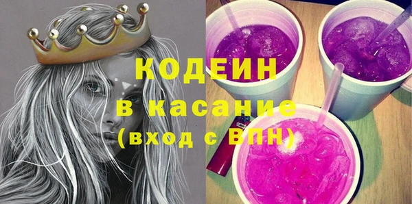 шишки Покачи