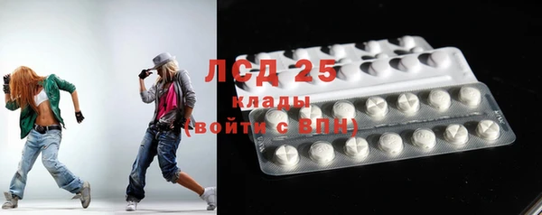 шишки Покачи