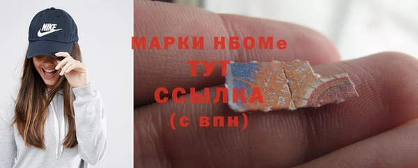 шишки Покачи
