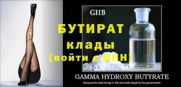 шишки Покачи