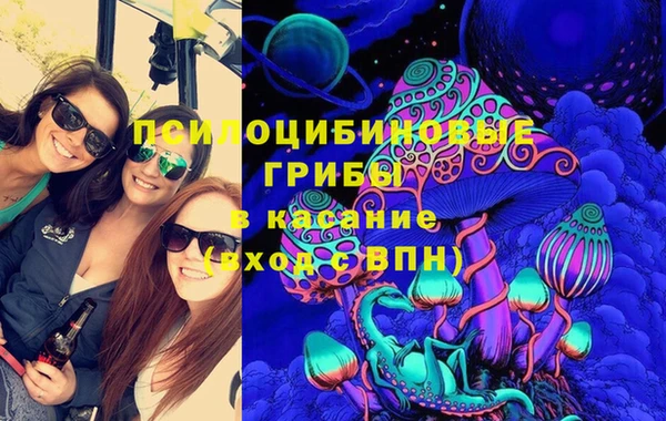 шишки Покачи
