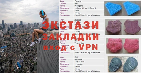 шишки Покачи