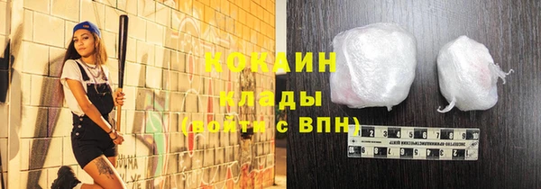 шишки Покачи
