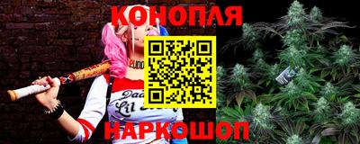 СК Гусь-Хрустальный
