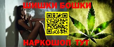 СК Гусь-Хрустальный