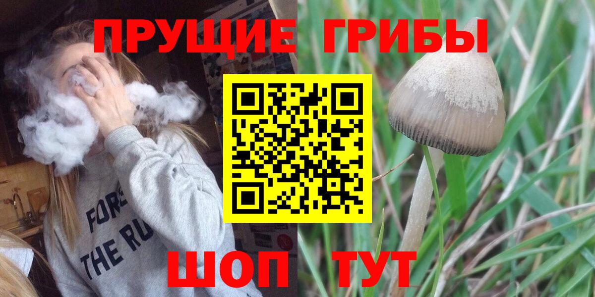 Псилоцибиновые грибы Magic Shrooms Кудрово