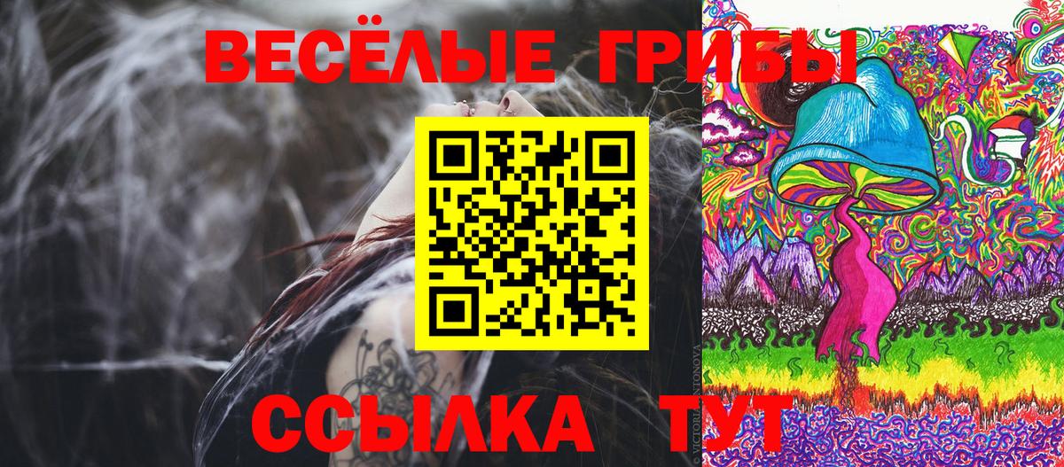 Кудрово  Галлюциногенные грибы прущие грибы  Вход с VPN  Псилоцибиновые грибы Magic Shrooms 