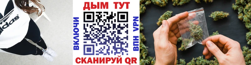 Каннабис Ganja  Кудрово 